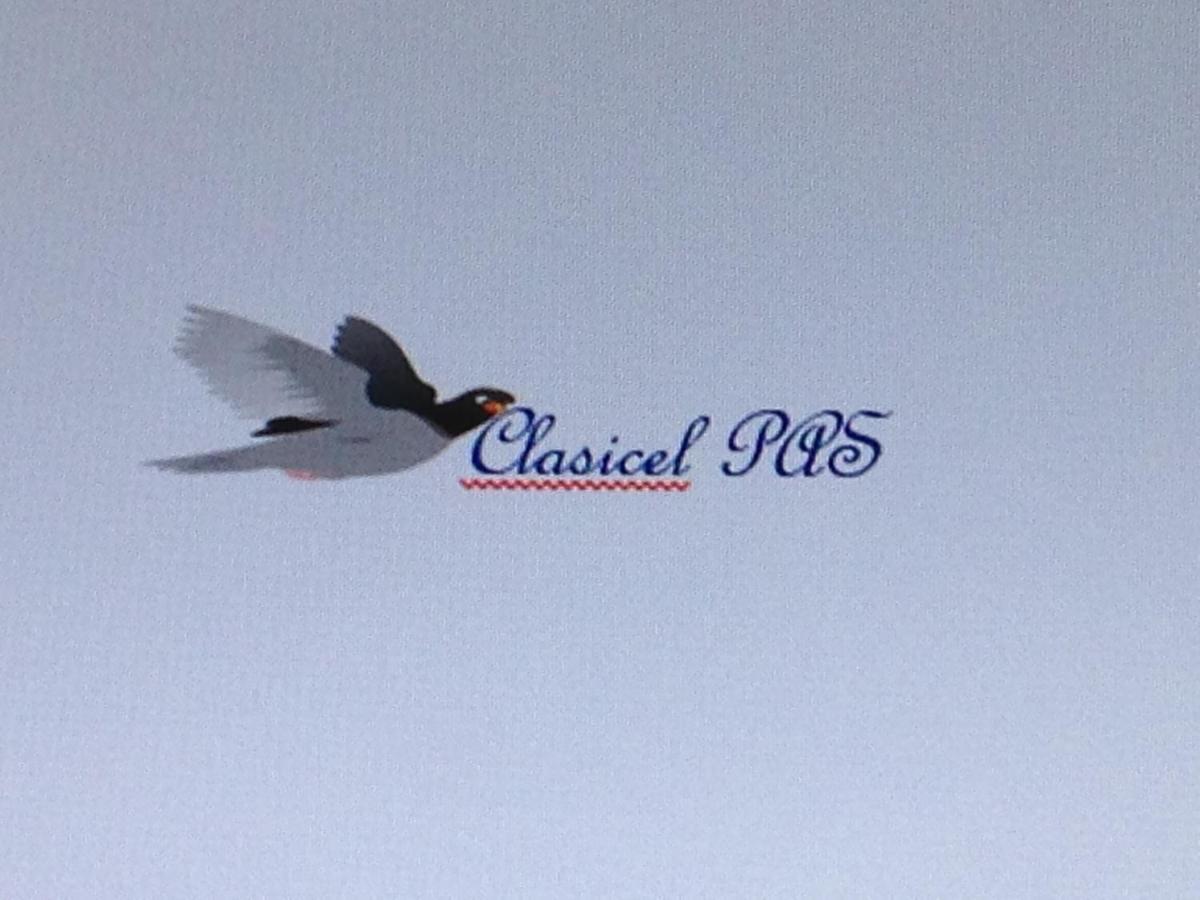 Clasicel Pas * Brasov